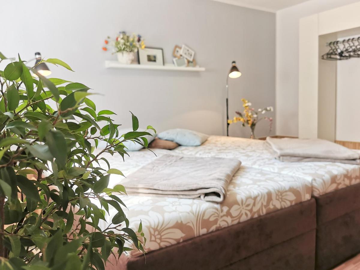 Flex Living - Business- Und Ferienwohnung Wassermann Dresden